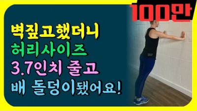 뱃살 내장지방 벽 짚고 이렇게 하면 싹 다 빠집니다